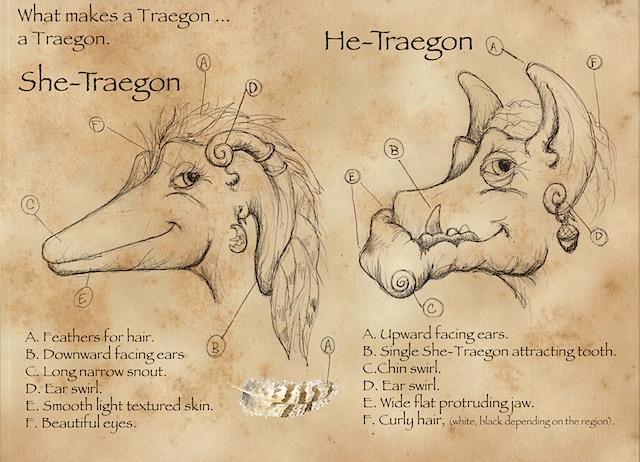 Traegon markings